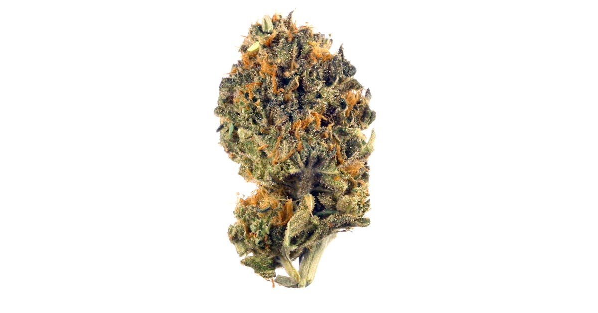 Blueberry Muffin